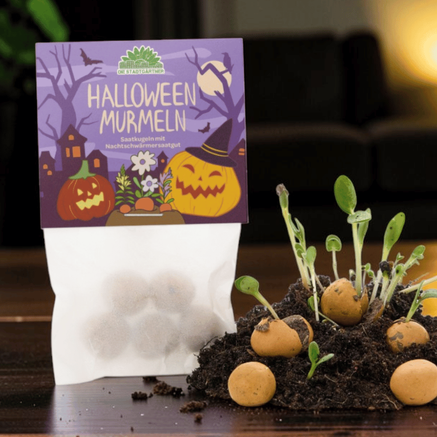 Halloween Blumenmurmeln Set – 25 Saatkugeln in 5 Designs