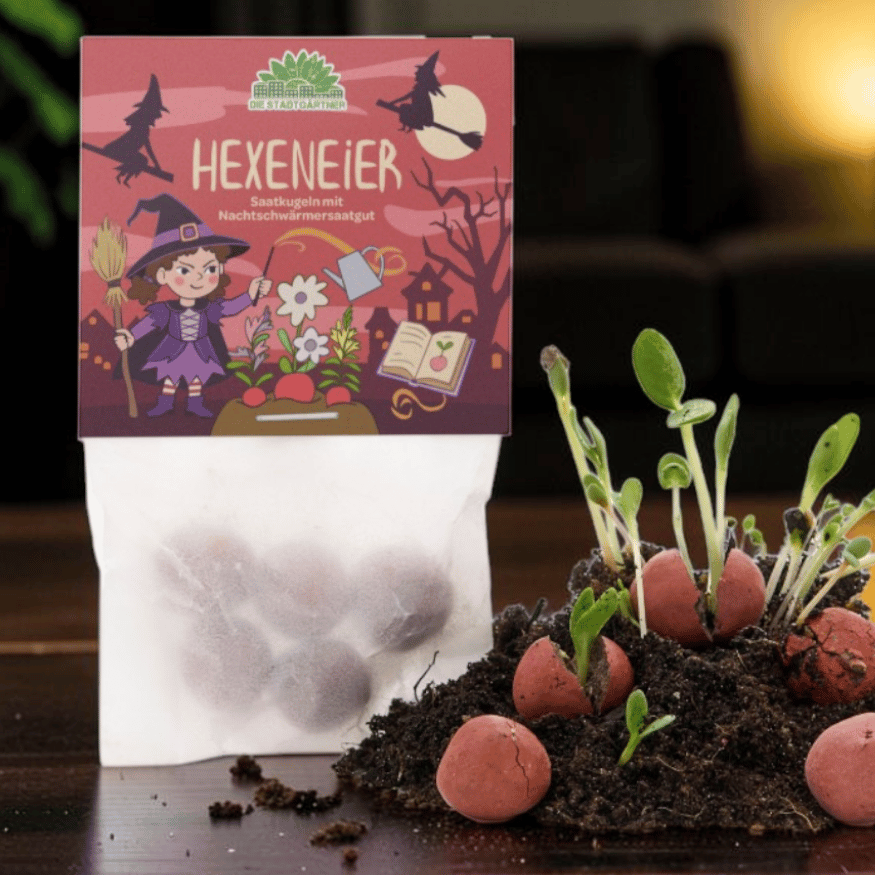 Halloween Blumenmurmeln Set – 25 Saatkugeln in 5 Designs