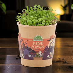 Fledermaus Anzuchtset – Halloween-Wildblumen