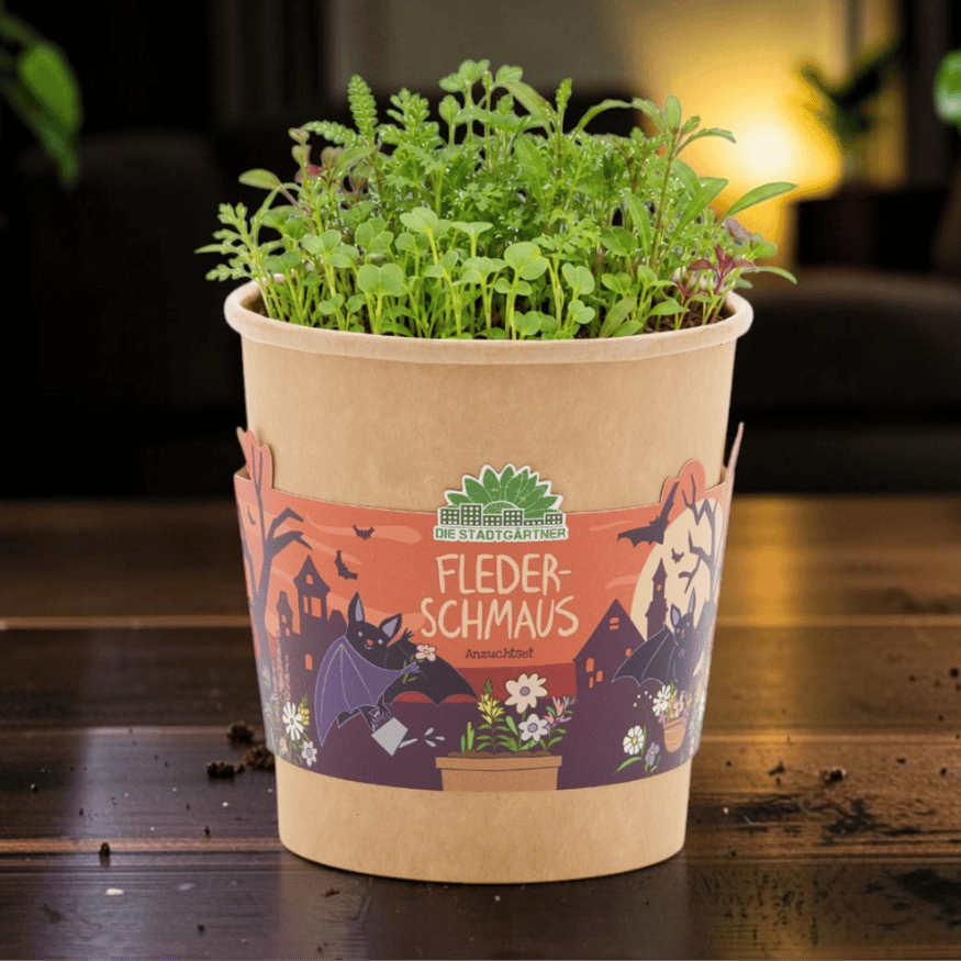 Fledermaus Anzuchtset – Halloween-Wildblumen