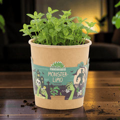 Monsterlimo Anzuchtset – Minze im Halloween-Becher