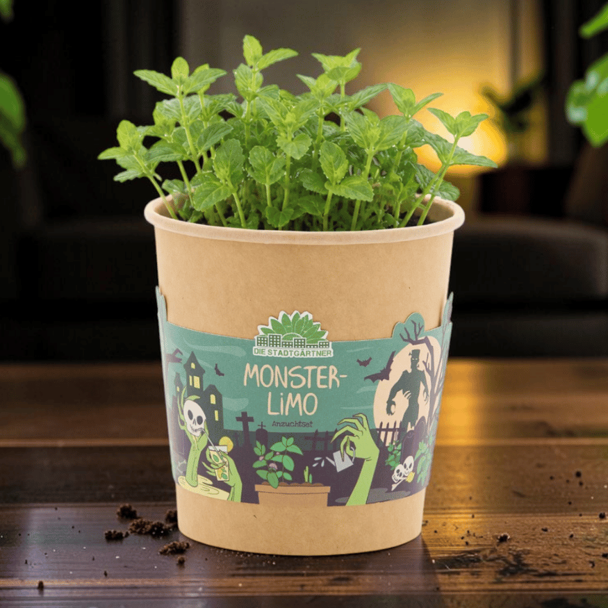 Monsterlimo Anzuchtset – Minze im Halloween-Becher