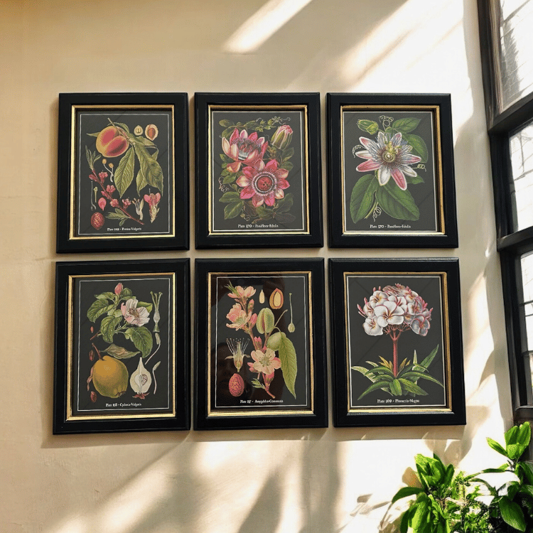 Botanisches Witchy Bilder-Set mit Rahmen – 6er Set