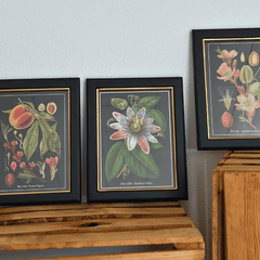 Botanisches Witchy Bilder-Set mit Rahmen – 6er Set