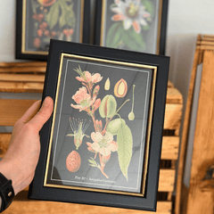 Botanisches Witchy Bilder-Set mit Rahmen – 6er Set