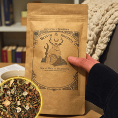 Short Rest Kit – Fantasy Tee Bundle für Pen & Paper Rollenspiele