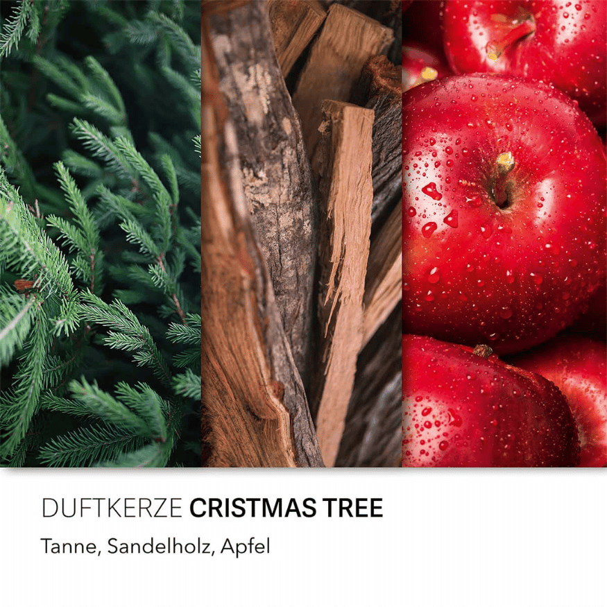 Duftkerze Weihnachtsbaum – 510 g / 100 Stunden (Candle Brothers)