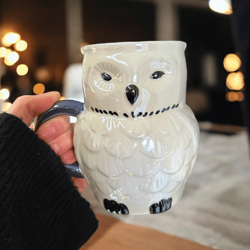 Eulen Tasse Perlmuttfarben – ZauberMerch