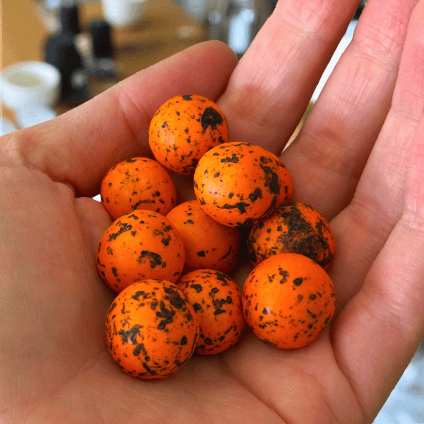 Halloween Choco Crunch Perlen – Pumpkin Spice Knusperkugeln (100 g)