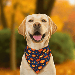 Halloween Halstuch für Hunde & Katzen – Kürbis Bandana Haustier Accessoire