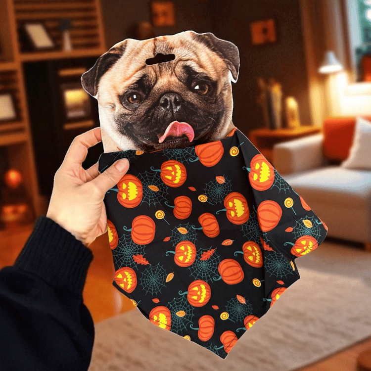 Halloween Halstuch für Hunde & Katzen – Kürbis Bandana Haustier Accessoire