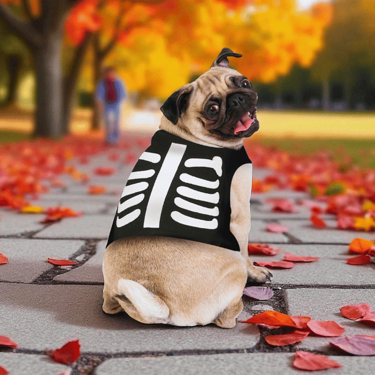 Halloween Hundekostüm Skelett – Haustier Verkleidung für Hunde - S