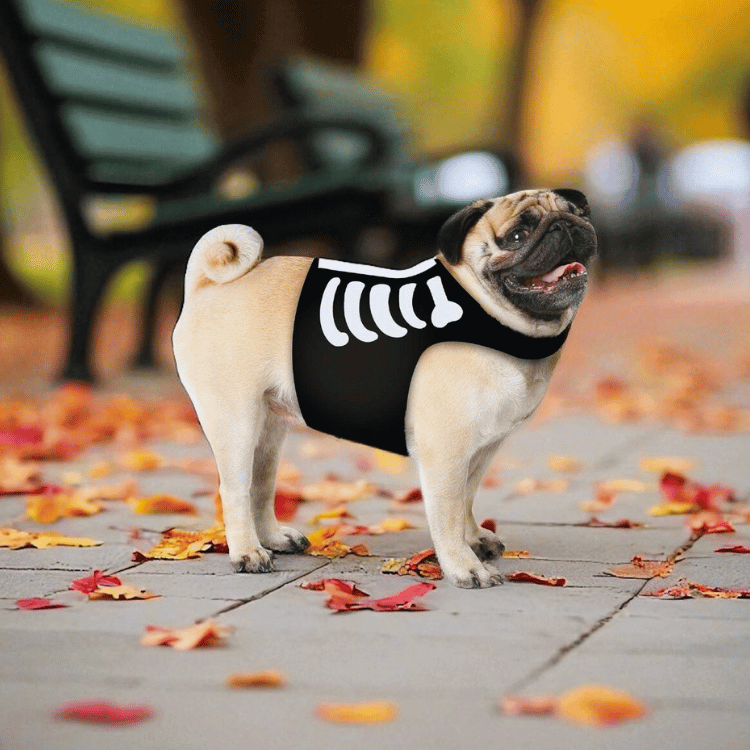 Halloween Hundekostüm Skelett – Haustier Verkleidung für Hunde