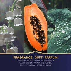 Harry Potter Duftkerze – Brille & Blitz