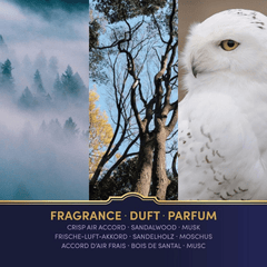 Harry Potter Duftkerze – Eulenpost