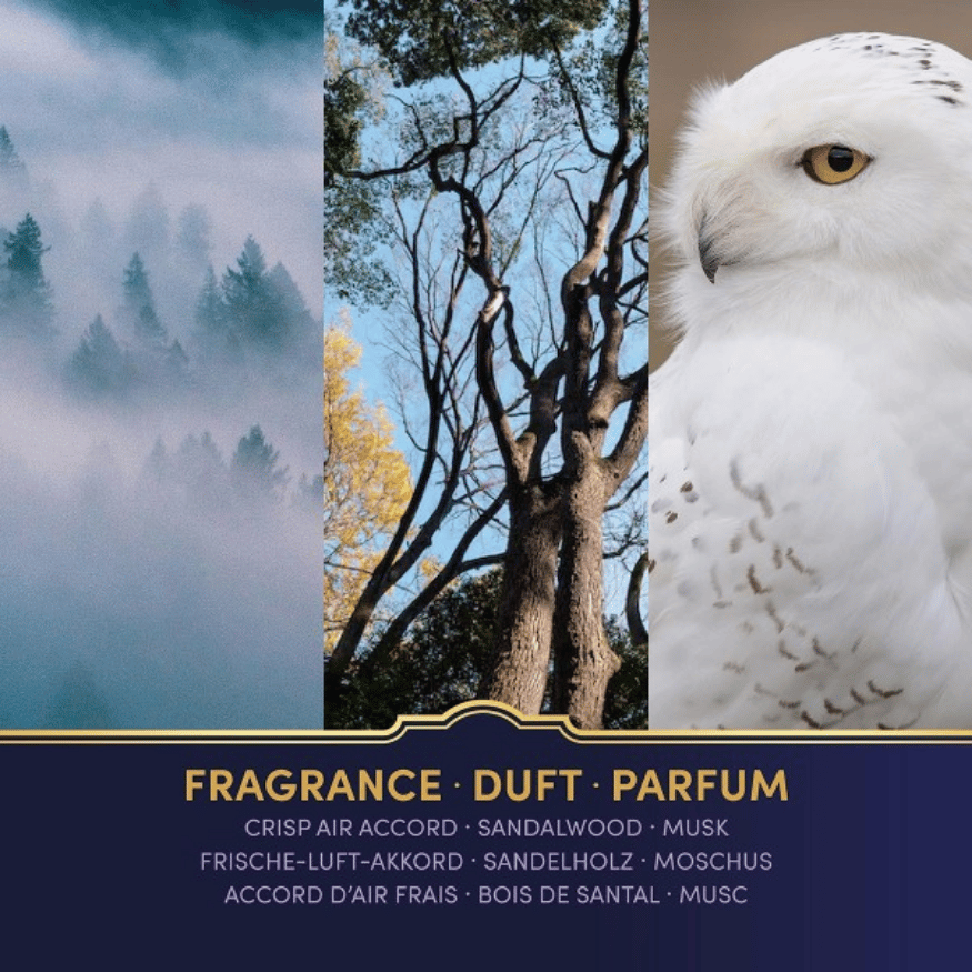 Harry Potter Duftkerze – Eulenpost