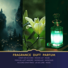 Harry Potter Duftkerze – Slytherin Häuserkerze