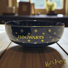 Harry Potter Geschirrset – Dunkelblau mit Goldeffekten