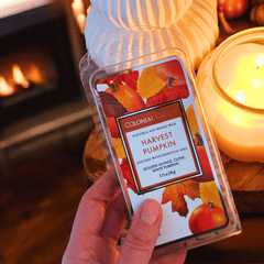 Duftwachs Harvest Pumpkin – Süß-würzige Herbstduft (77g)