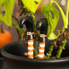 Hexenbein Pflanztopf-Deko - 2er Set