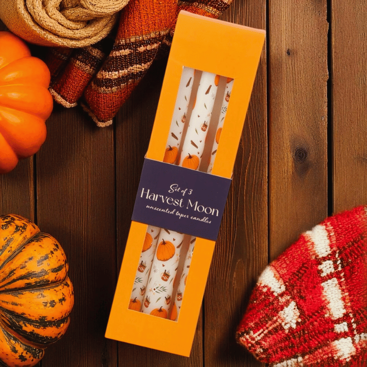 Kürbis Kerzen Set – 3 Stabkerzen mit süßen Illustrationen