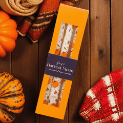 Kürbis Kerzen Set – 3 Stabkerzen mit süßen Illustrationen