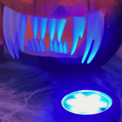 Deluxe Pumpkin Light mit Fernbedienung – 15 Farben & Timer für Halloween-Kürbisse