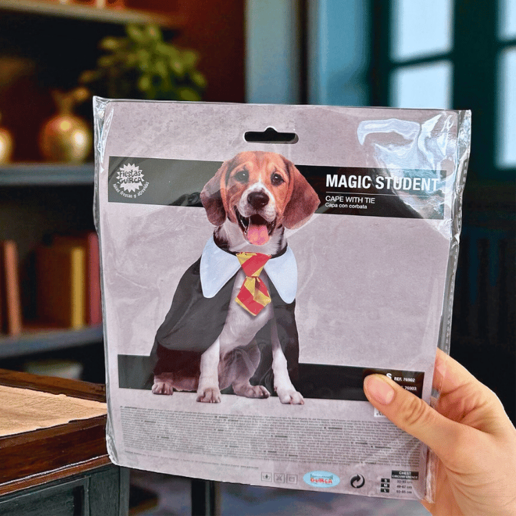 Magisches Hundekostüm Zauberschüler – Halloween Umhang & Krawatte