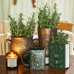 Garden Witch Blumentopf – Terrakotta in Bronzeoptik für Kräuter und Sukkulenten