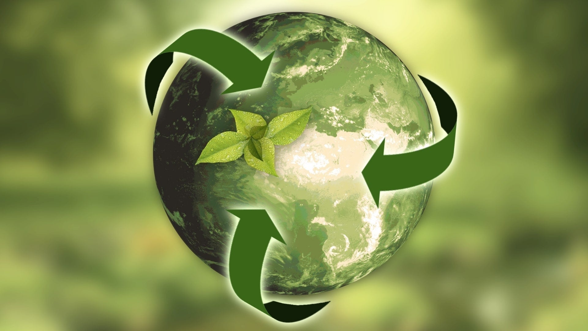 Nachhaltigkeit, Umweltschutz und Bewusstsein