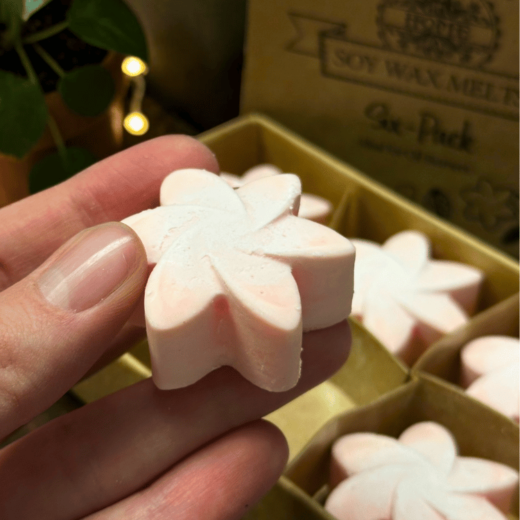Sommerliche Waxmelts Magnolie – 6er Set Sojaswachs in Blütenform
