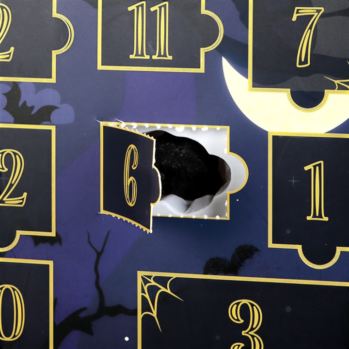 Shelf of Shadows Halloween Adventskalender, 12-teilig