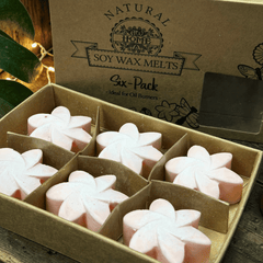 Sommerliche Waxmelts Magnolie – 6er Set Sojaswachs in Blütenform