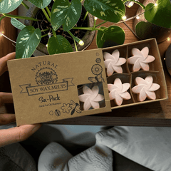 Sommerliche Waxmelts Magnolie – 6er Set Sojaswachs in Blütenform