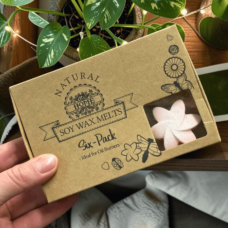 Sommerliche Waxmelts Magnolie – 6er Set Sojaswachs in Blütenform