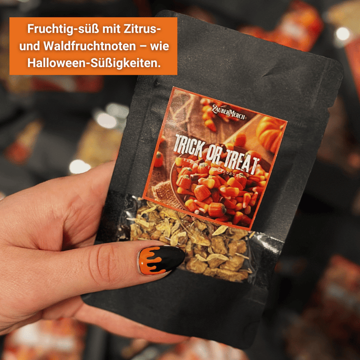 Herbst Tee Probierset