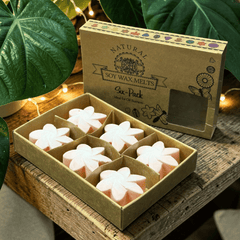 Sommerliche Waxmelts Magnolie – 6er Set Sojaswachs in Blütenform