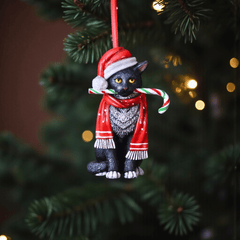 Weihnachtsbaum Anhänger für Catlover – Katze mit Zuckerstange von Lisa Parker