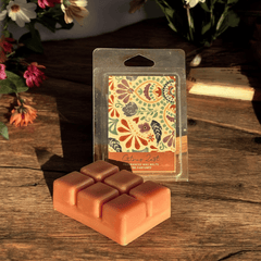 Zitruszauber Duftwachs-Melts